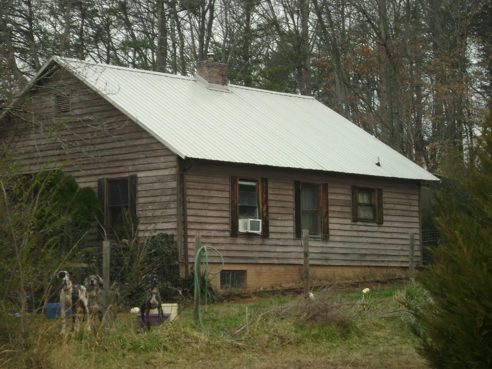 White metal roof on an old wood sided farmhouse, from a Asphalt Shingle Roof Repair job in Courtland